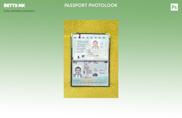 модерен стил шведски пасош нов сегашен шаблон за фотоизглед